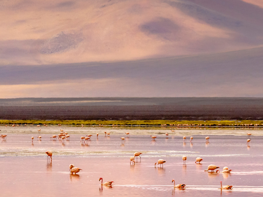 Chile and Bolivia: Atacama to Uyuni Salt Flats